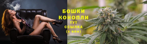 стафф Гусь-Хрустальный