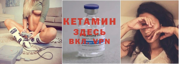 стаф Дмитров