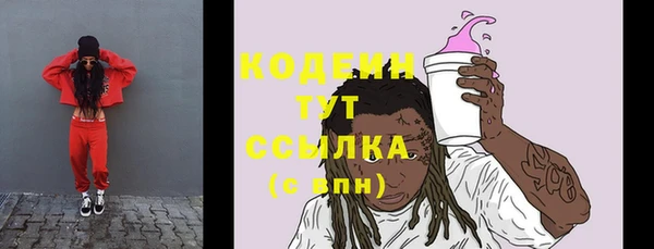 стаф Дмитриев