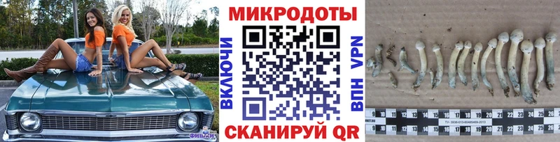 продажа наркотиков  Новодвинск  Псилоцибиновые грибы ЛСД 