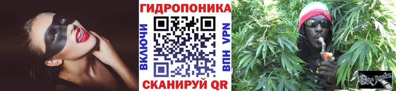 закладка  Новодвинск  omg ССЫЛКА  Бошки Шишки планчик 